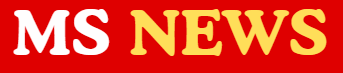 MS NEWS